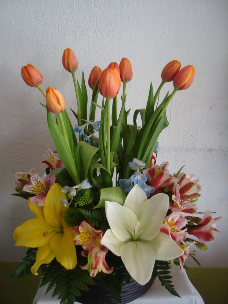 tulipanes-con-lilis