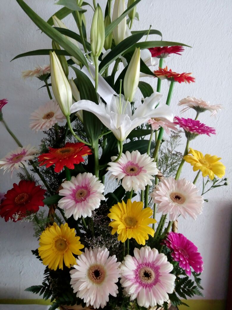 GERBERAS Y LILIS » Floramar | expresa tus sentimientos con flores